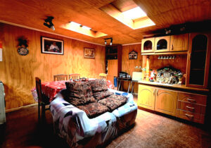 miniatura_002
