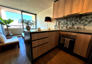 miniatura_007